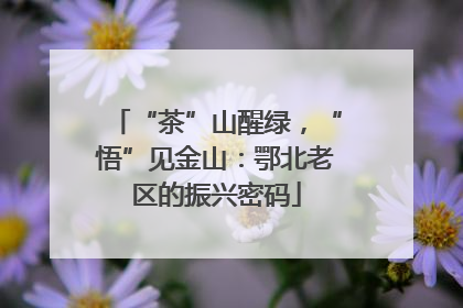 “茶”山醒绿，“悟”见金山：鄂北老区的振兴密码