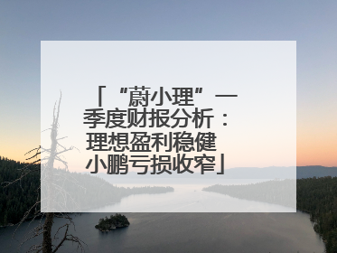 “蔚小理”一季度财报分析：理想盈利稳健 小鹏亏损收窄