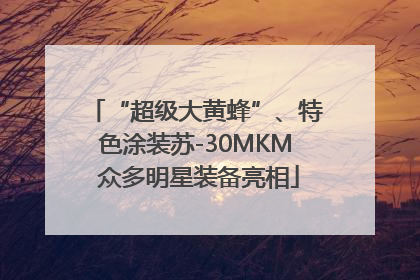 “超级大黄蜂”、特色涂装苏-30MKM 众多明星装备亮相