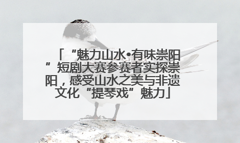 “魅力山水•有味崇阳”短剧大赛参赛者实探崇阳，感受山水之美与非遗文化“提琴戏”魅力