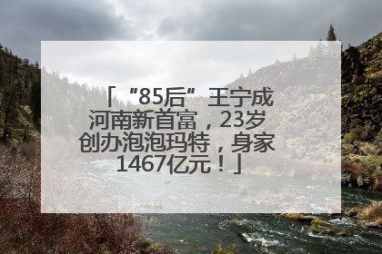 “85后”王宁成河南新首富，23岁创办泡泡玛特，身家1467亿元！