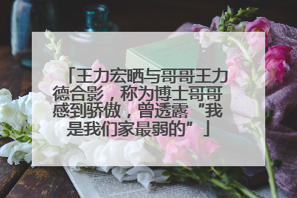 王力宏晒与哥哥王力德合影，称为博士哥哥感到骄傲，曾透露“我是我们家最弱的”