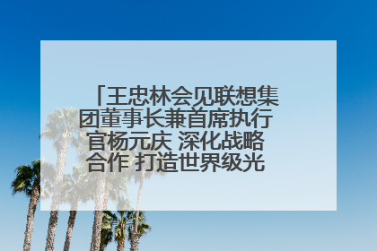 王忠林会见联想集团董事长兼首席执行官杨元庆 深化战略合作 打造世界级光电子信息产业集群