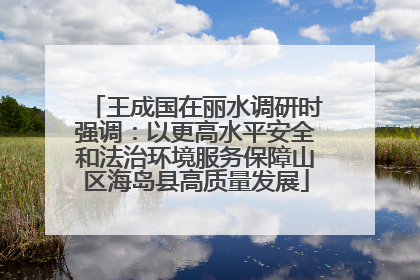 王成国在丽水调研时强调：以更高水平安全和法治环境服务保障山区海岛县高质量发展