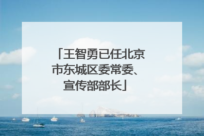 王智勇已任北京市东城区委常委、宣传部部长