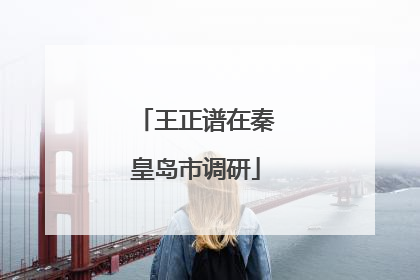 王正谱在秦皇岛市调研