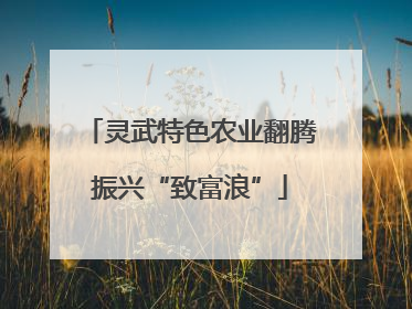 灵武特色农业翻腾振兴“致富浪”