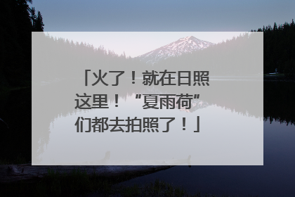 火了！就在日照这里！“夏雨荷”们都去拍照了！