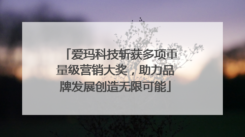 爱玛科技斩获多项重量级营销大奖，助力品牌发展创造无限可能