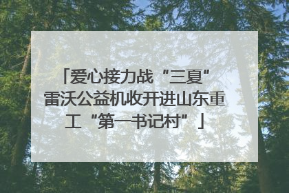 爱心接力战“三夏” 雷沃公益机收开进山东重工“第一书记村”