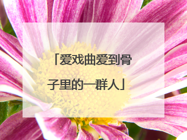 爱戏曲爱到骨子里的一群人