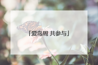 爱鸟周 共参与
