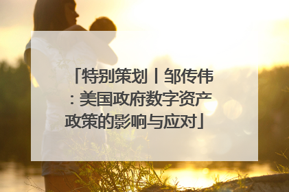 特别策划丨邹传伟：美国政府数字资产政策的影响与应对
