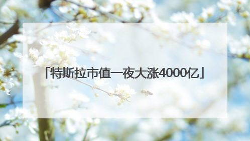 特斯拉市值一夜大涨4000亿
