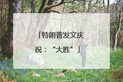 特朗普发文庆祝：“大胜”