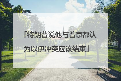 特朗普说他与普京都认为以伊冲突应该结束
