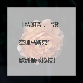 特朗普：“没空理马斯克” 欧洲抛橄榄枝