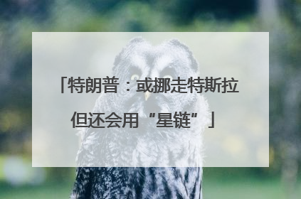 特朗普：或挪走特斯拉 但还会用“星链”