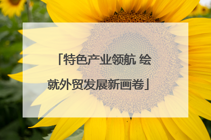 特色产业领航 绘就外贸发展新画卷