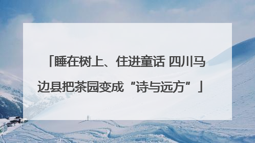 睡在树上、住进童话 四川马边县把茶园变成“诗与远方”