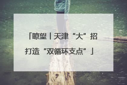 瞭望丨天津“大”招打造“双循环支点”