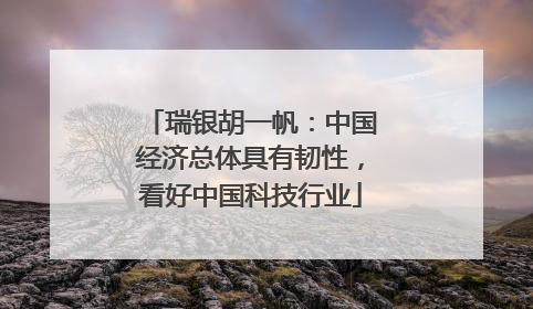 瑞银胡一帆：中国经济总体具有韧性，看好中国科技行业