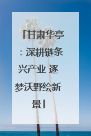 甘肃华亭：深耕链条兴产业 逐梦沃野绘新景