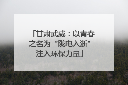 甘肃武威：以青春之名为“陇电入浙”注入环保力量