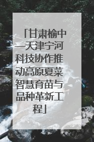 甘肃榆中—天津宁河科技协作推动高原夏菜智慧育苗与品种革新工程