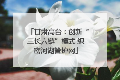 甘肃高台：创新“三长六链”模式 织密河湖管护网