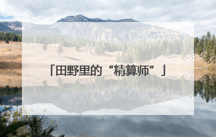 田野里的“精算师”