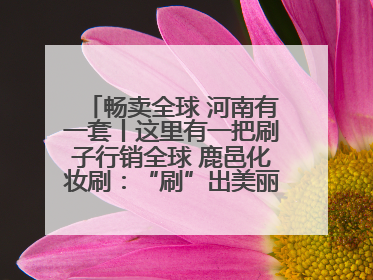 畅卖全球 河南有一套丨这里有一把刷子行销全球 鹿邑化妆刷：“刷”出美丽经济新世界