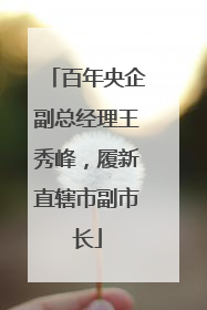 百年央企副总经理王秀峰，履新直辖市副市长