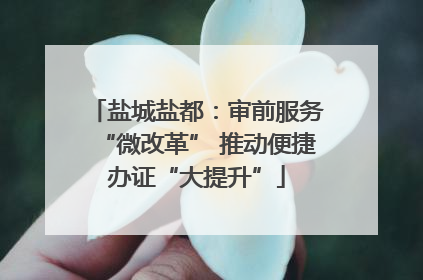 盐城盐都：审前服务“微改革” 推动便捷办证“大提升”