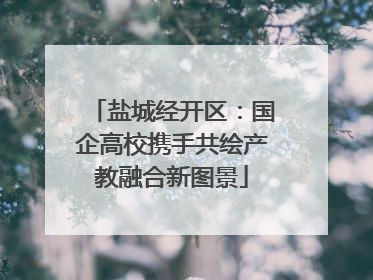 盐城经开区：国企高校携手共绘产教融合新图景