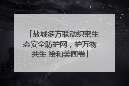 盐城多方联动织密生态安全防护网，护万物共生 绘和美画卷