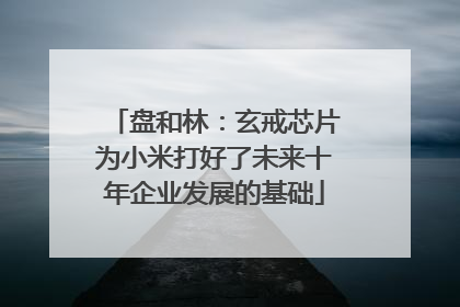 盘和林：玄戒芯片为小米打好了未来十年企业发展的基础