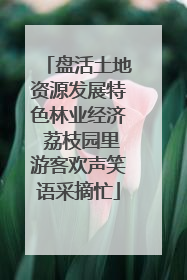 盘活土地资源发展特色林业经济 荔枝园里游客欢声笑语采摘忙