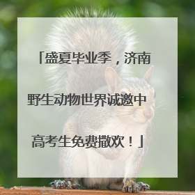 盛夏毕业季，济南野生动物世界诚邀中高考生免费撒欢！