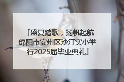 盛夏踏歌，扬帆起航 绵阳市安州区沙汀实小举行2025届毕业典礼