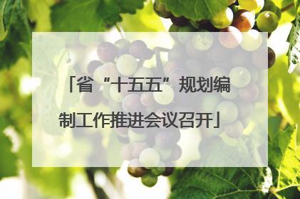 省“十五五”规划编制工作推进会议召开
