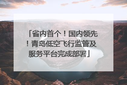 省内首个！国内领先！青岛低空飞行监管及服务平台完成部署