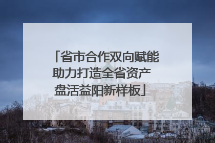 省市合作双向赋能 助力打造全省资产盘活益阳新样板