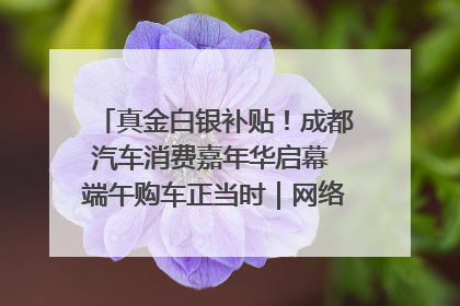 真金白银补贴！成都汽车消费嘉年华启幕 端午购车正当时｜网络中国节·端午