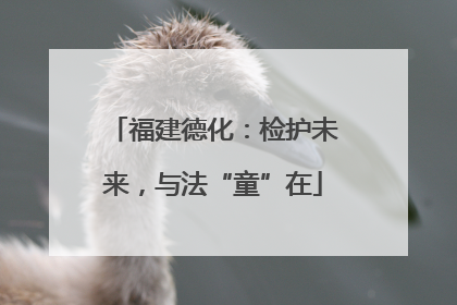 福建德化：检护未来，与法“童”在
