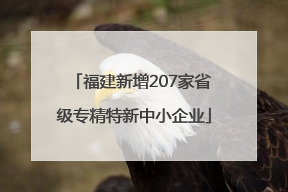 福建新增207家省级专精特新中小企业
