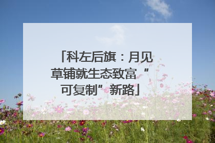 科左后旗：月见草铺就生态致富“可复制”新路