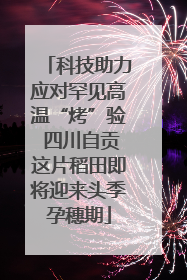 科技助力应对罕见高温“烤”验 四川自贡这片稻田即将迎来头季孕穗期