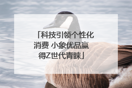 科技引领个性化消费 小象优品赢得Z世代青睐