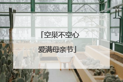 空巢不空心 爱满母亲节